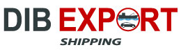 Dib Export